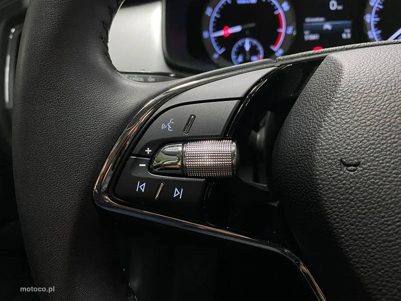 Skoda Kodiaq I 19