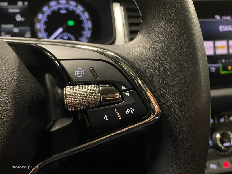 Skoda Kodiaq I 20
