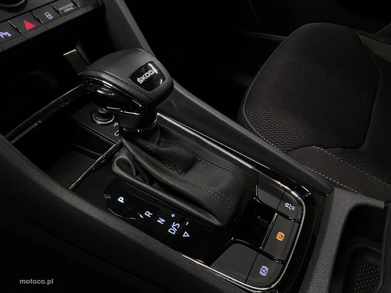Skoda Kodiaq I 22