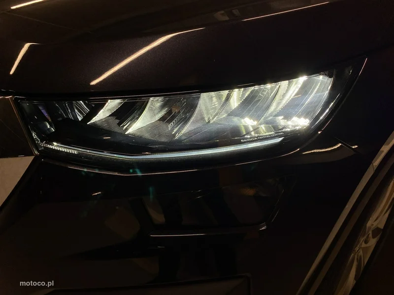 Skoda Kodiaq I 9