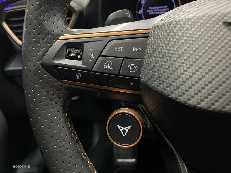 Cupra Formentor 19