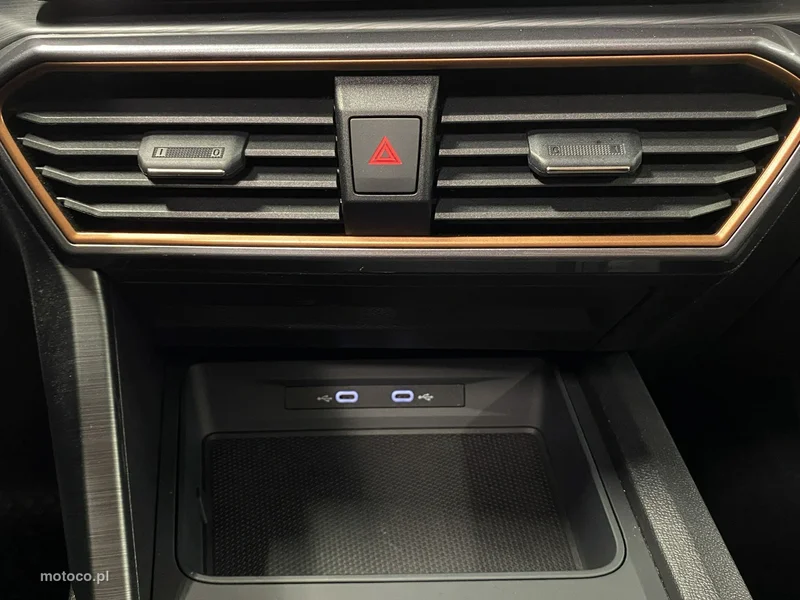 Cupra Formentor 34