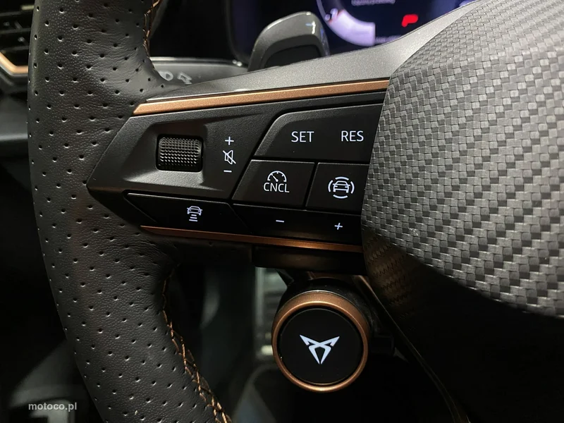 Cupra Formentor 22