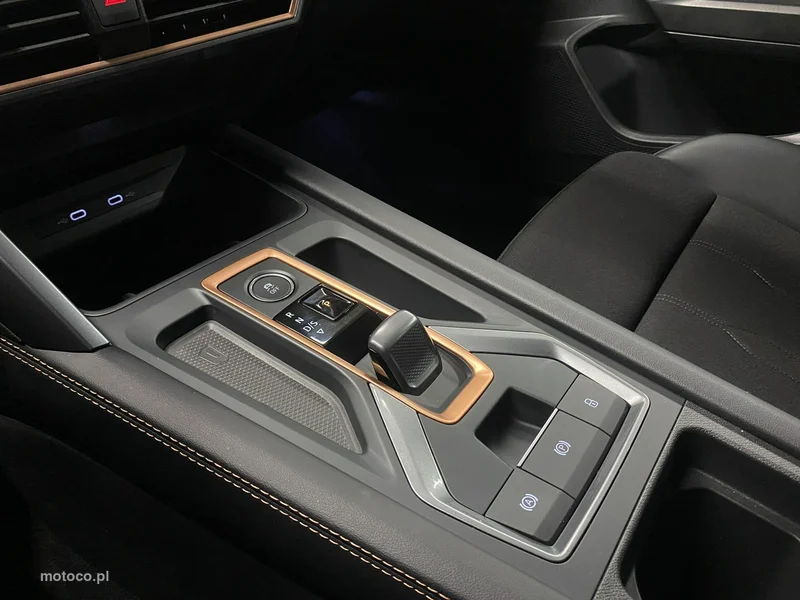 Cupra Formentor 33