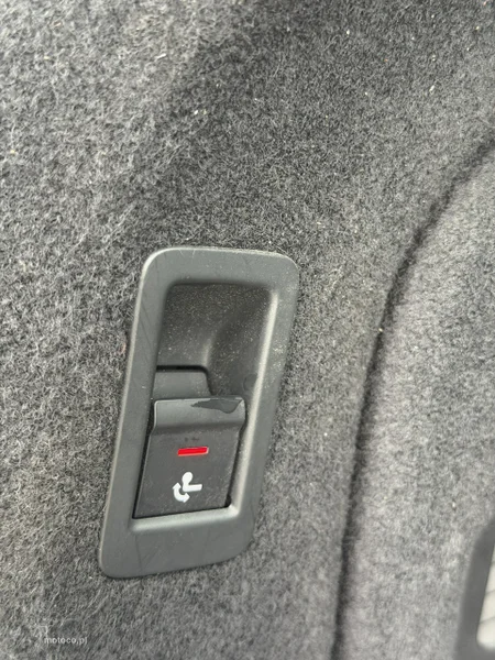 Audi A5 F5 24