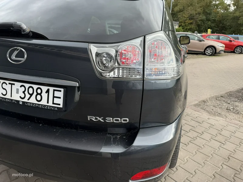 Lexus RX 17