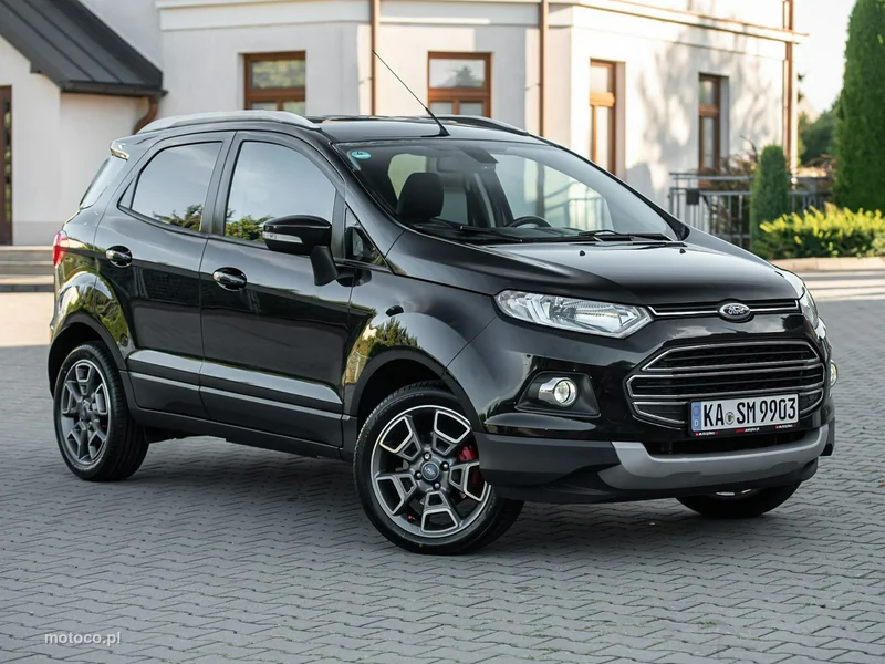 Ford EcoSport 19