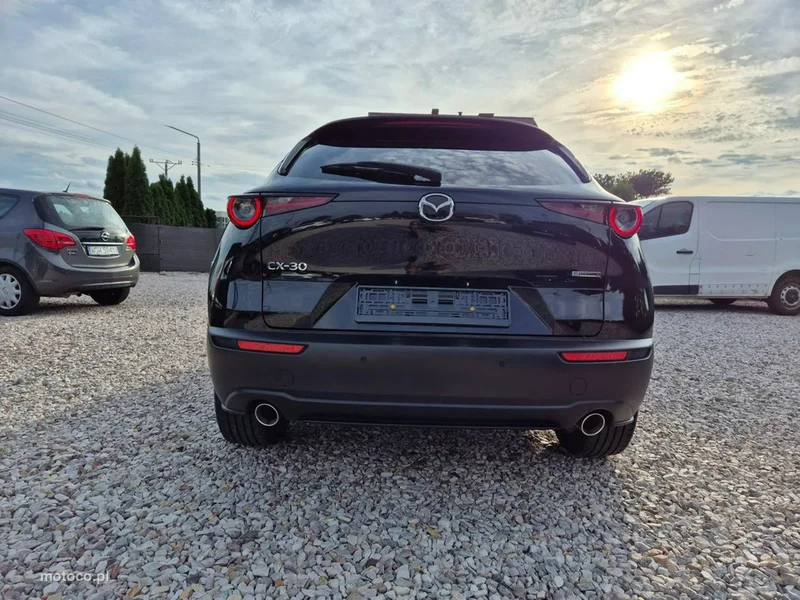 Mazda CX-30 19