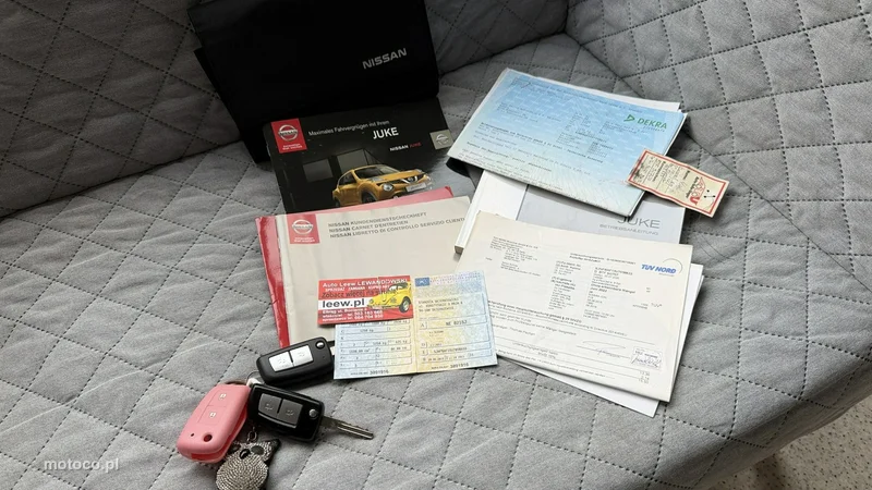 Nissan Juke 28
