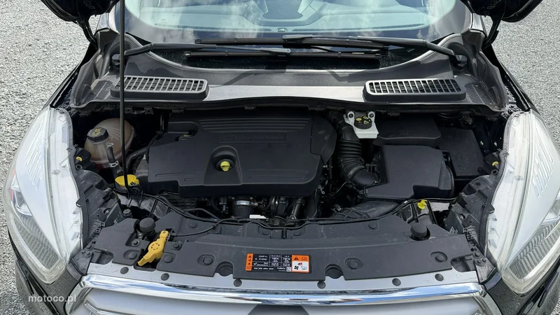 Ford Kuga II 19