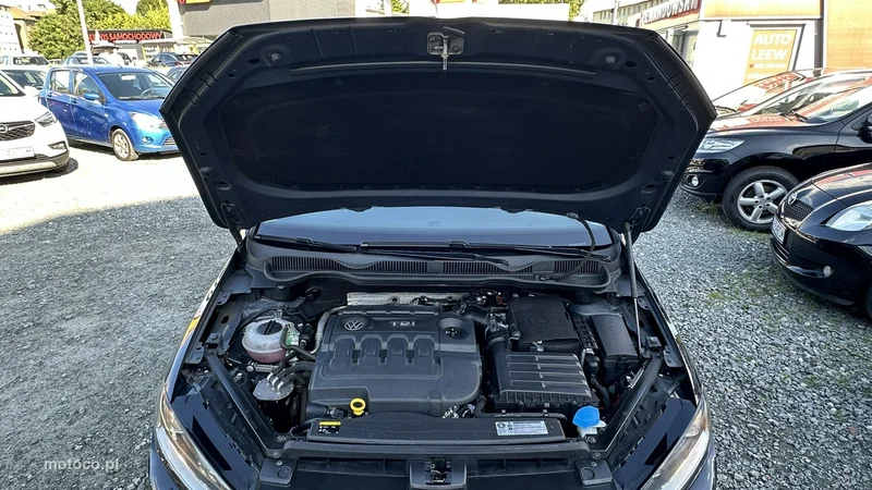 Volkswagen Golf Sportsvan VII 16