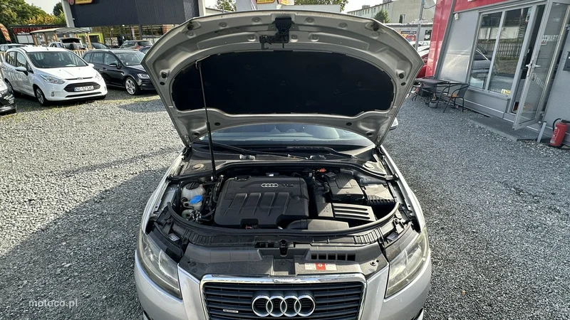Audi A3 8P 16