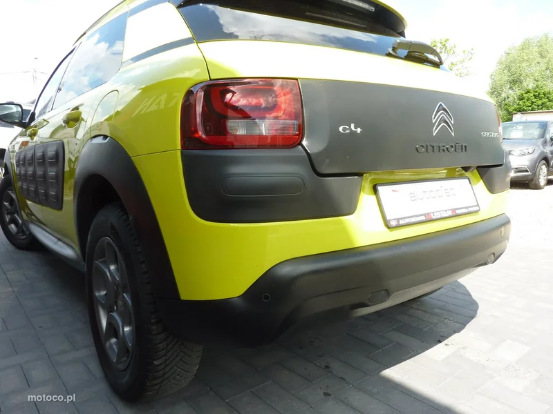 Citroen C4 Cactus 39