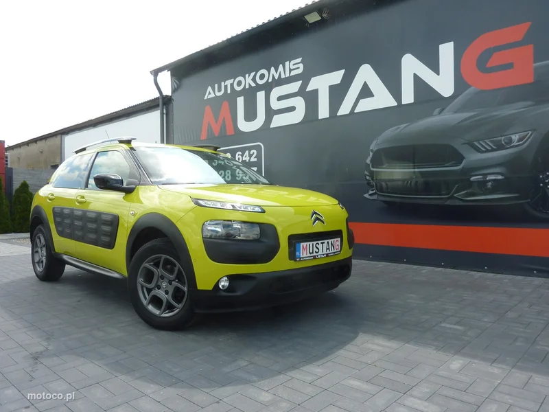 Citroen C4 Cactus 40