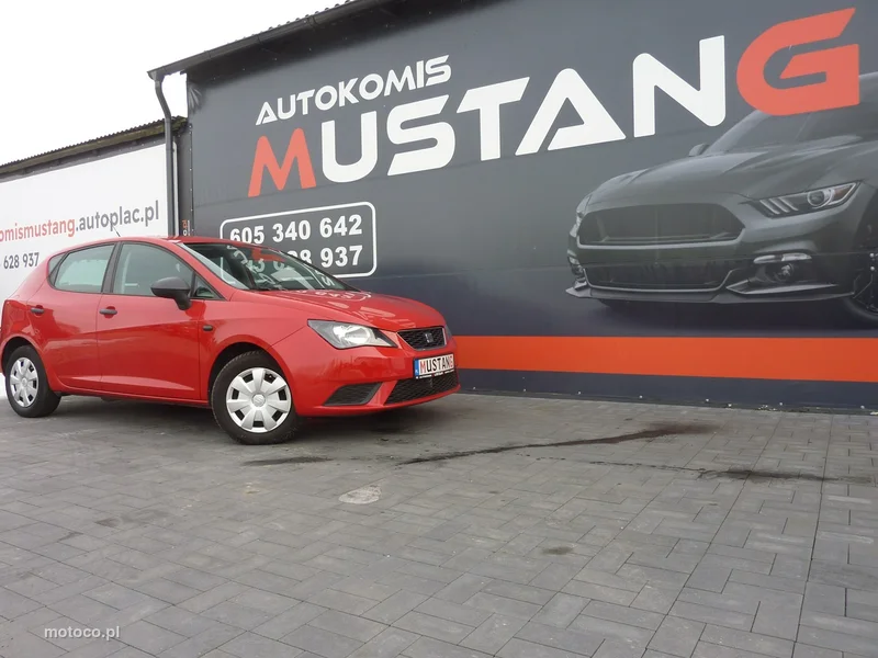 Seat Ibiza 29