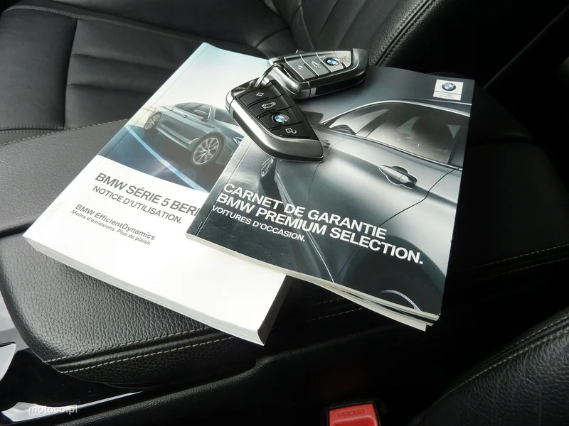 BMW Seria 5 G30 520 17