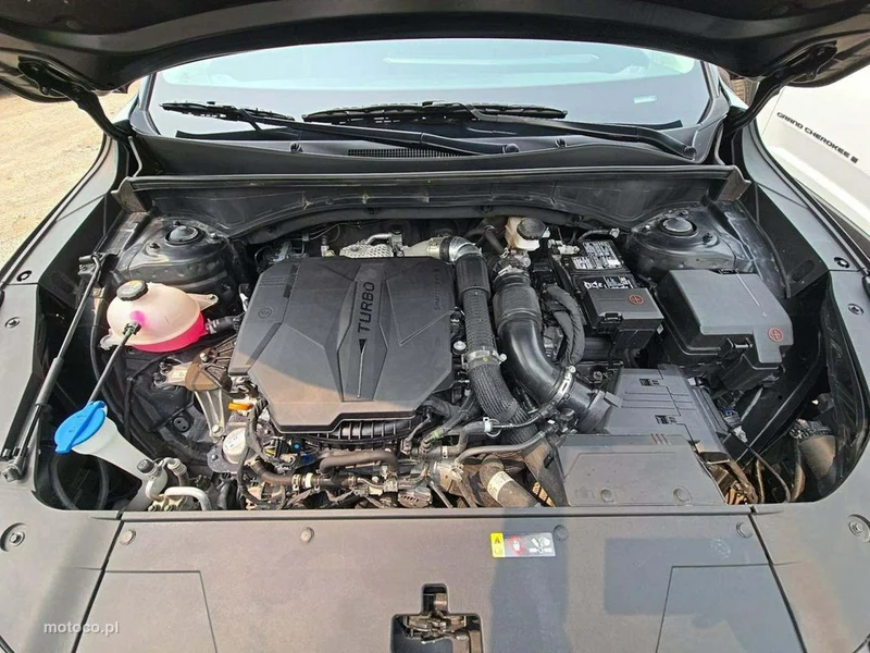 Kia Sorento 14