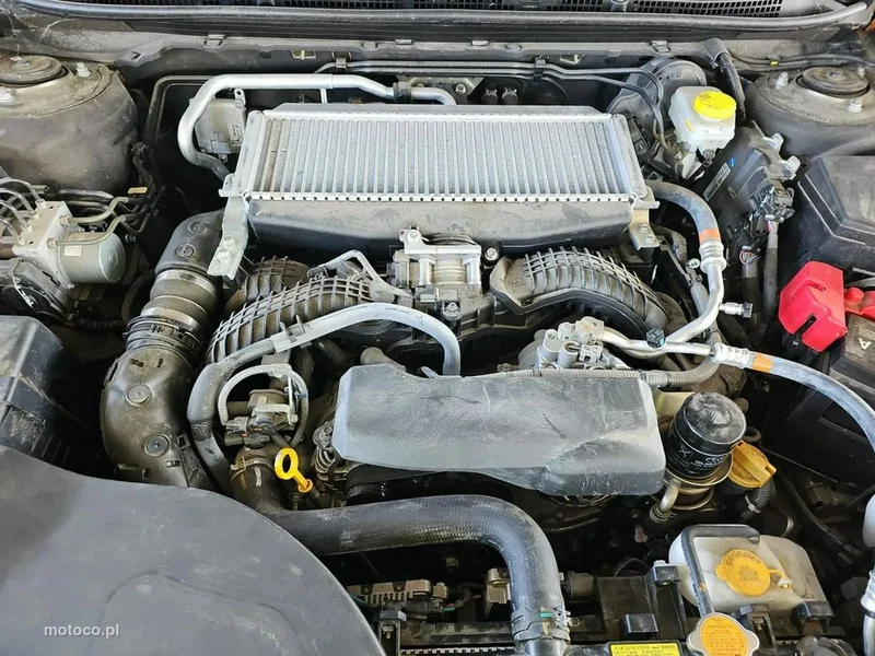 Subaru Outback 13