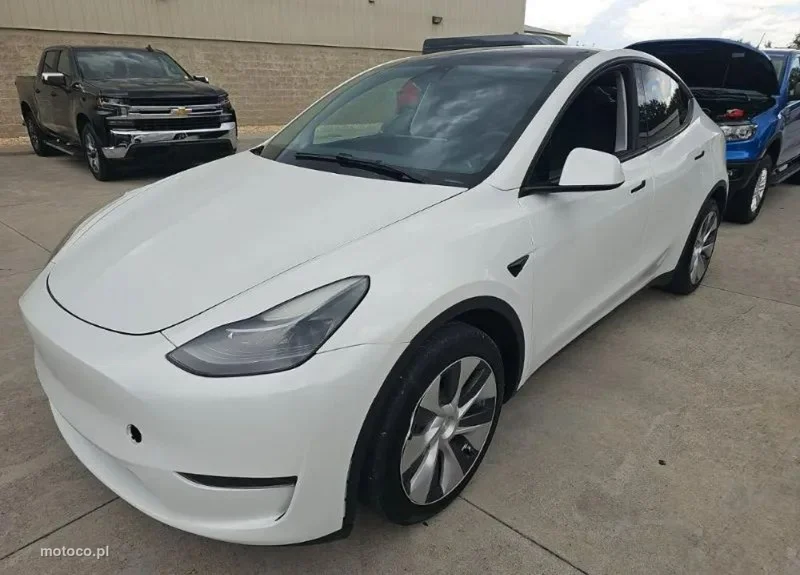 Tesla Y