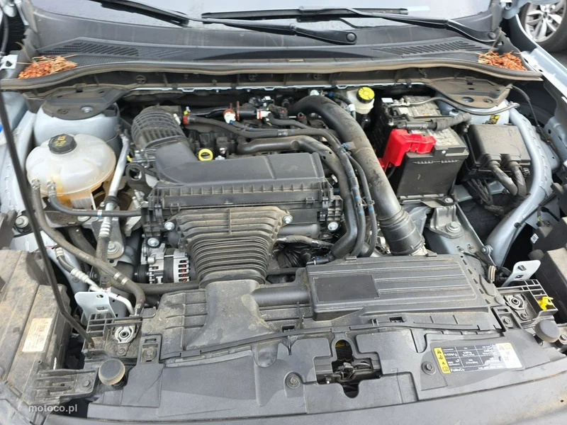Ford Escape 13
