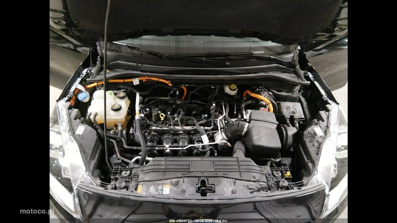 Ford Kuga III 12
