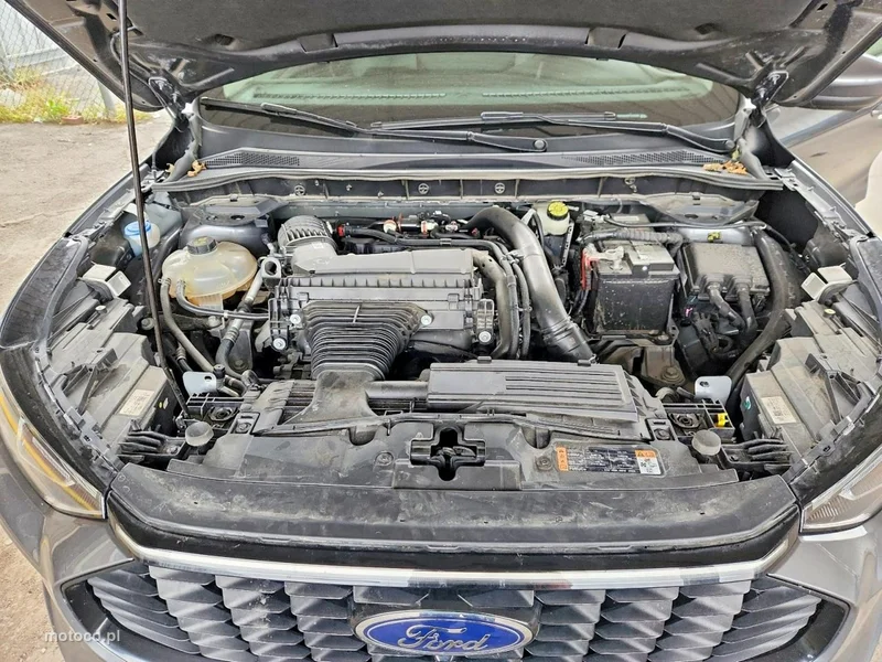 Ford Kuga III 11