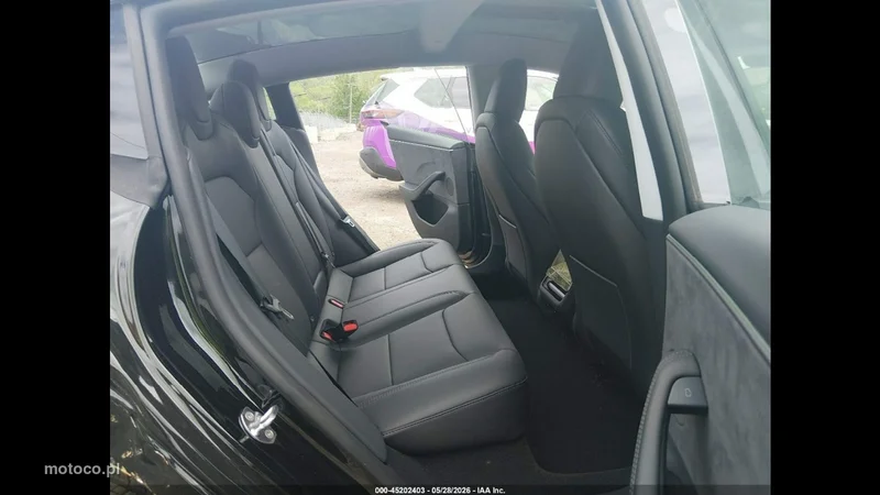 Tesla Model 3 10