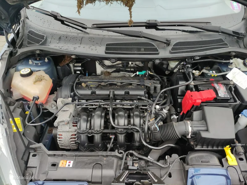Ford Fiesta VI 26