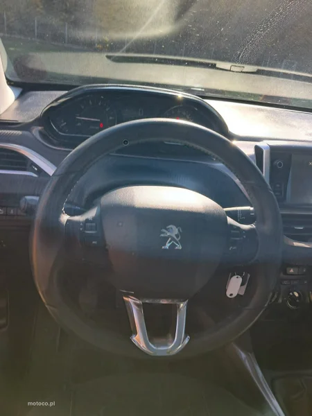 Peugeot 2008 18