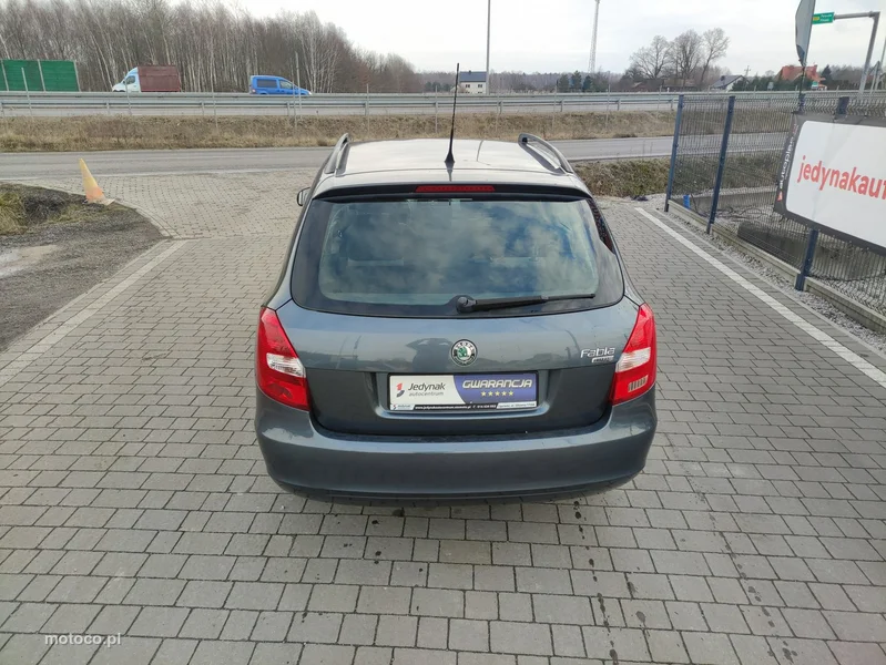 Skoda Fabia II 10