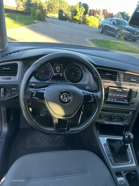 Volkswagen Golf VII 14