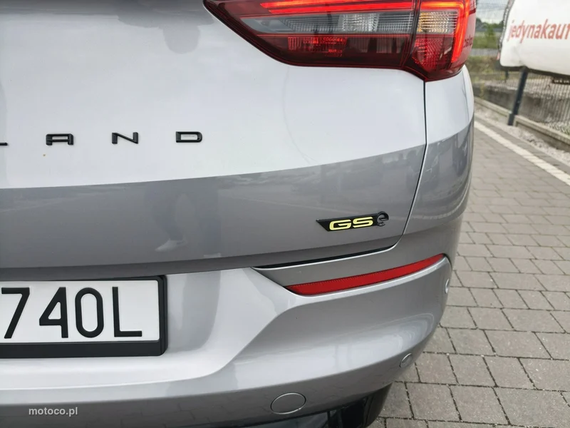 Opel Grandland I 10