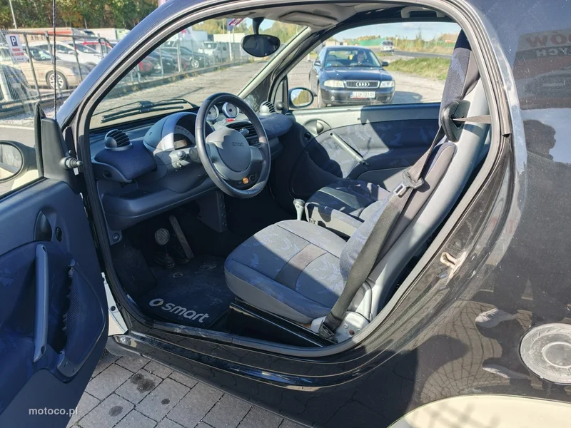 Smart ForTwo 19