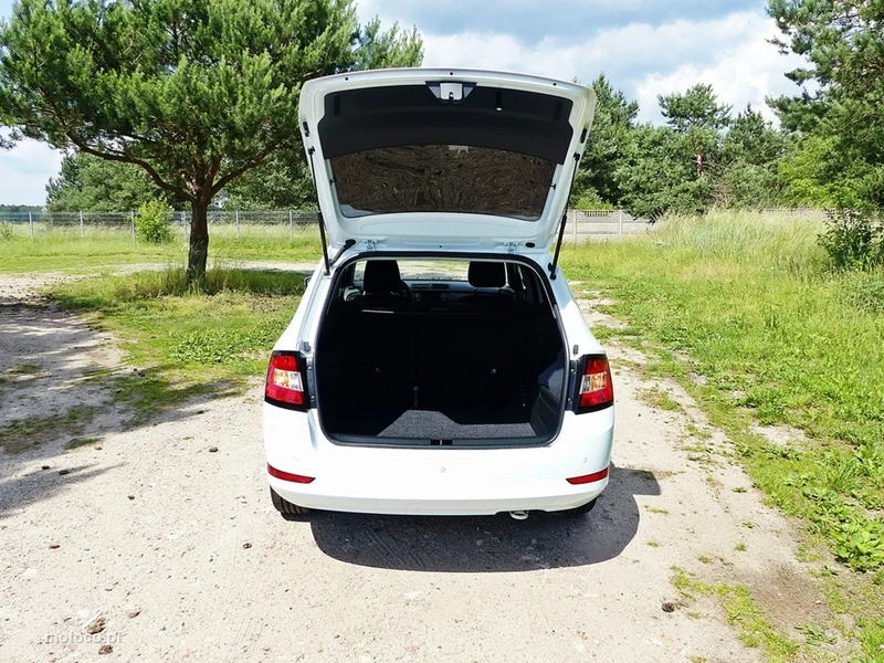 Skoda Fabia III 12