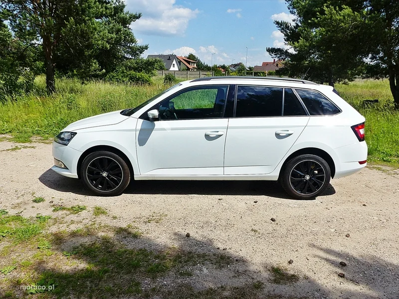 Skoda Fabia III 15