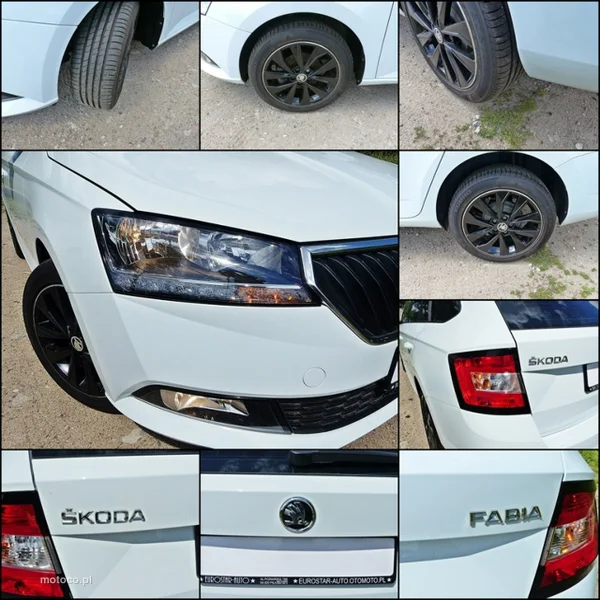 Skoda Fabia III 18