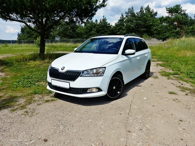 Skoda Fabia III 19