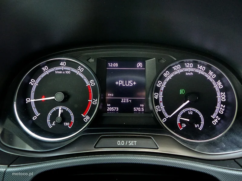 Skoda Fabia III 31