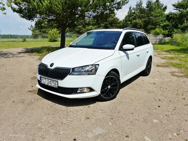 Skoda Fabia III 43