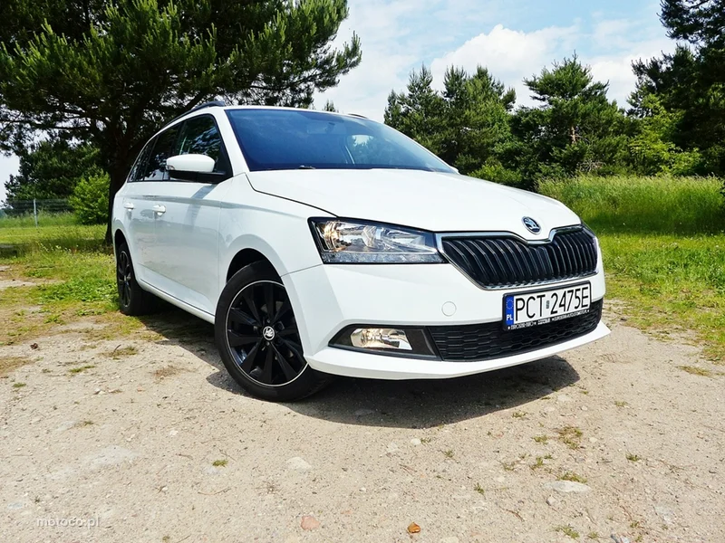 Skoda Fabia III 8