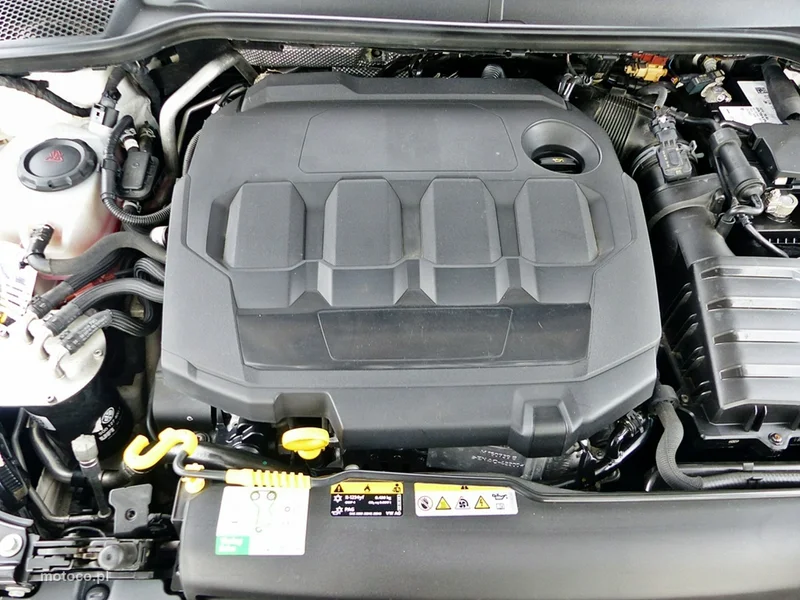 Seat Ibiza 39
