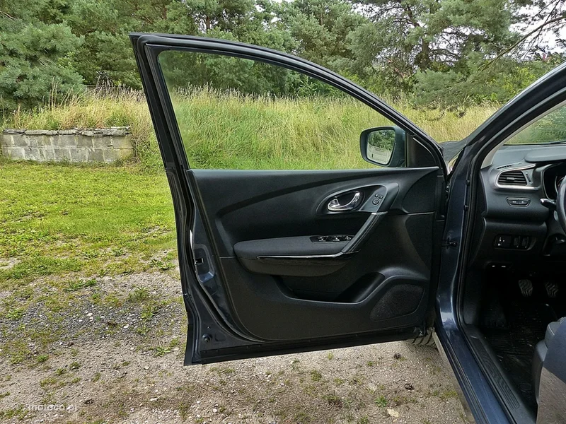 Renault Kadjar I 17