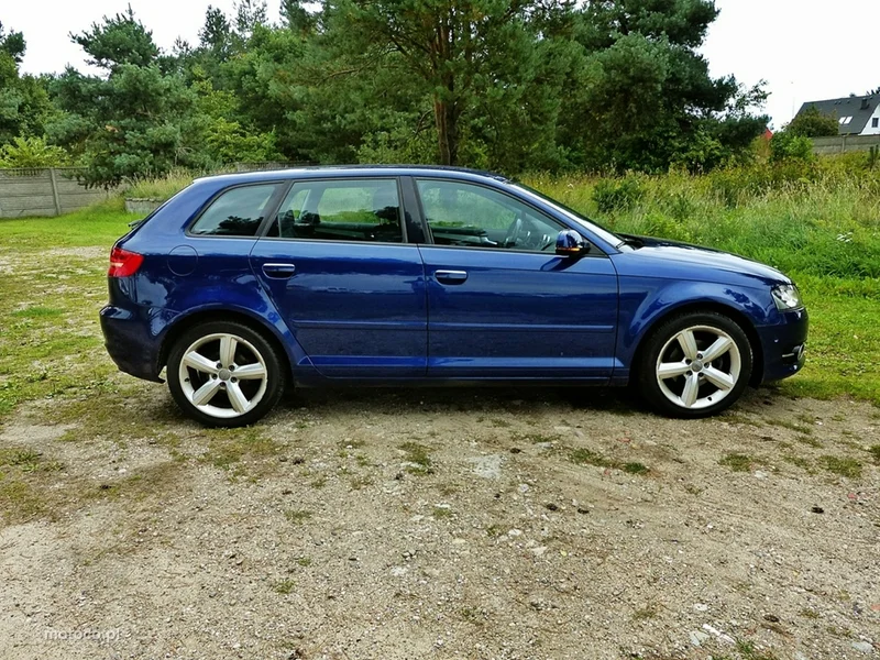 Audi A3 8P 6