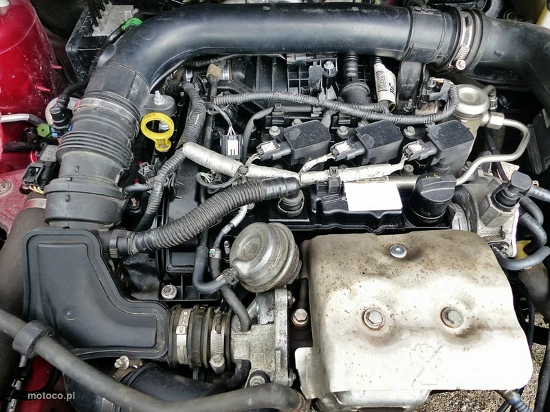 Ford EcoSport 39