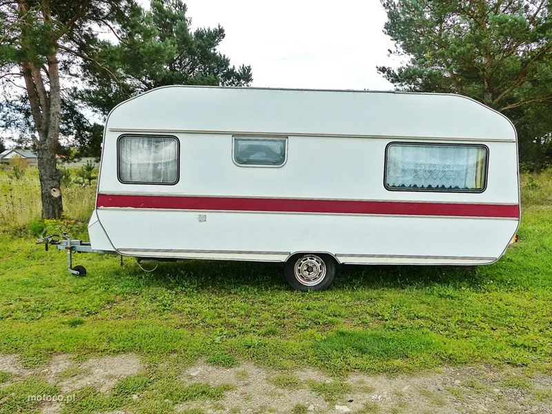 Wilk DE LUXE 2