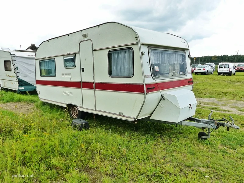 Wilk DE LUXE 5