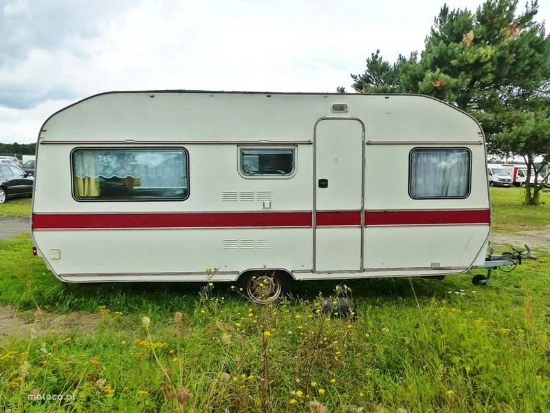 Wilk DE LUXE 6