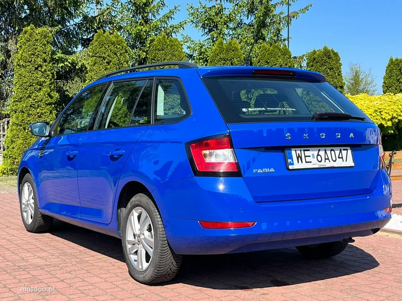 Skoda Fabia III 19
