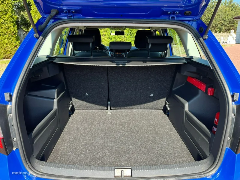 Skoda Fabia III 39