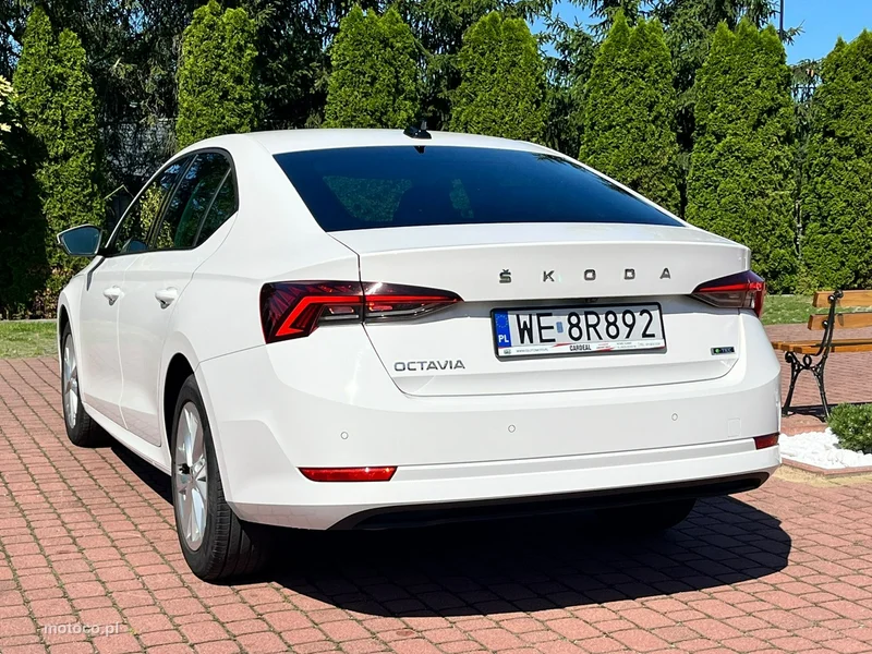 Skoda Octavia IV 17
